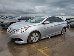 Hyundai Sonata GLS salvage cars for sale: 2014 Hyundai Sonata GLS