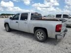 2007 Chevrolet Silverado C1500 Crew Cab