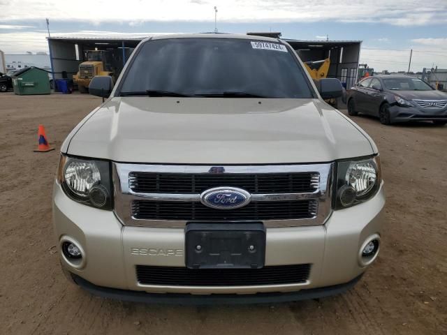 2011 Ford Escape XLS