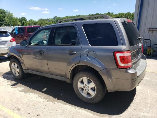 2009 Ford Escape XLT