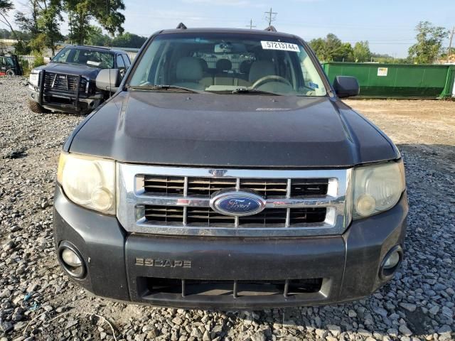 2008 Ford Escape XLT