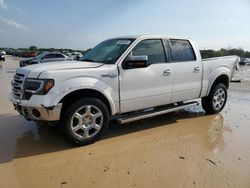 Salvage cars for sale at San Antonio, TX auction: 2013 Ford F150 Supercrew