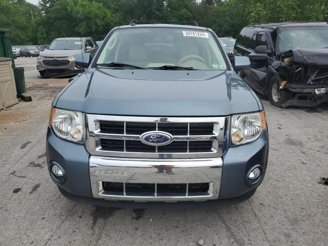 2011 Ford Escape Limited