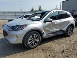 Salvage cars for sale at Appleton, WI auction: 2020 Ford Escape SEL