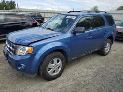 Vehiculos salvage en venta de Copart Arlington, WA: 2009 Ford Escape XLT