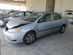 Salvage cars for sale from Copart Homestead, FL: 2008 Toyota Corolla CE