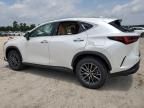 2024 Lexus NX 350H Base