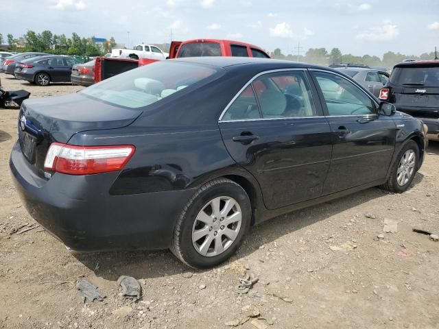 2009 Toyota Camry Hybrid