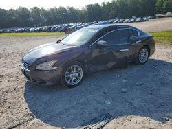 Nissan salvage cars for sale: 2009 Nissan Maxima S