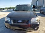 2007 Ford Escape Limited