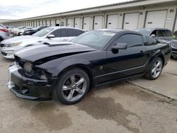 Salvage cars for sale at Louisville, KY auction: 2006 Ford Mustang GT