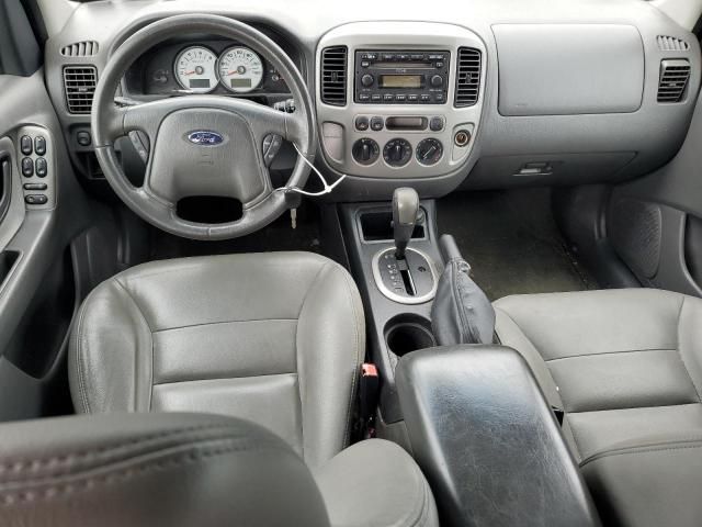 2005 Ford Escape XLT