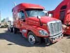 2014 Freightliner Cascadia 125