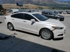 2014 Ford Fusion Titanium Phev