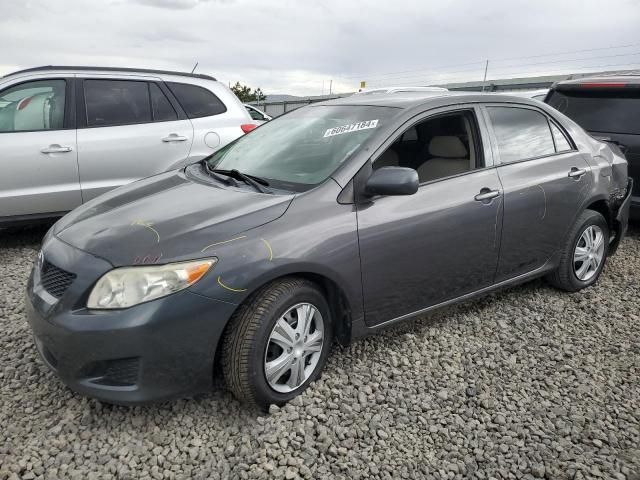 2010 Toyota Corolla Base