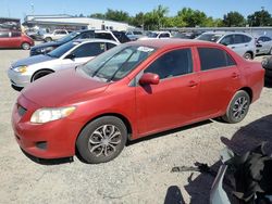 Salvage cars for sale from Copart Sacramento, CA: 2010 Toyota Corolla Base
