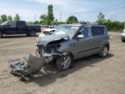 KIA Soul Vehiculos salvage en venta: 2010 KIA Soul +