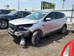 Salvage cars for sale at Chicago Heights, IL auction: 2017 Ford Escape SE