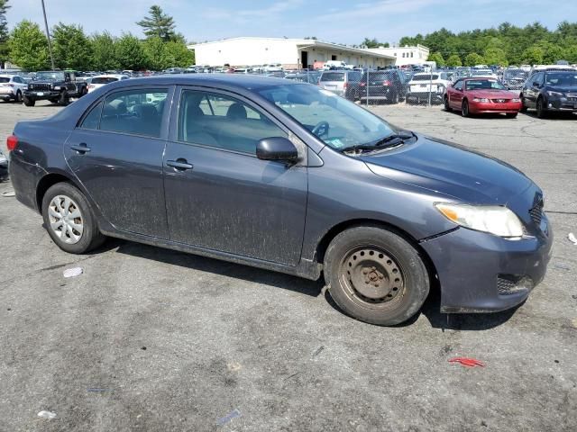 2009 Toyota Corolla Base