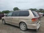 2002 Honda Odyssey EX