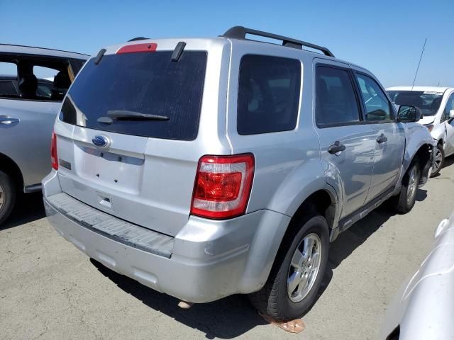 2011 Ford Escape XLT