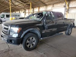 Salvage cars for sale at Phoenix, AZ auction: 2014 Ford F150 Supercrew