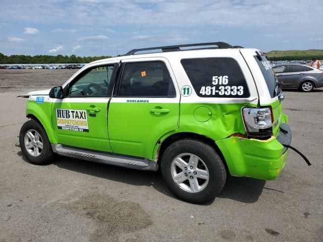 2010 Ford Escape Hybrid