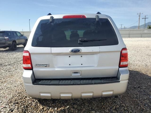 2010 Ford Escape XLT