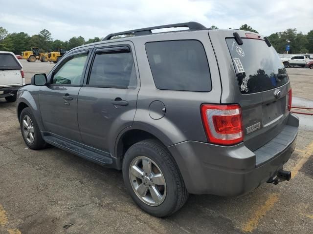 2009 Ford Escape XLT