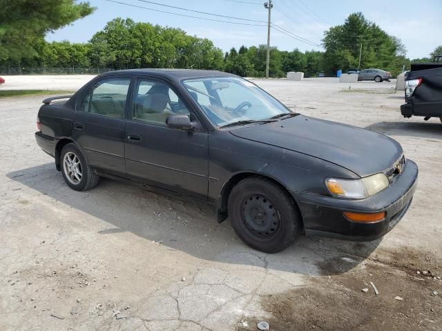 1997 Toyota Corolla DX