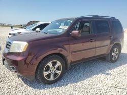 2014 Honda Pilot EXL en venta en Temple, TX