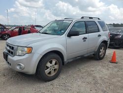 Salvage cars for sale from Copart Houston, TX: 2012 Ford Escape XLT