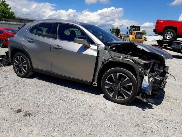 2019 Lexus UX 250H