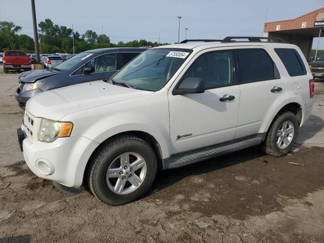 2009 Ford Escape Hybrid