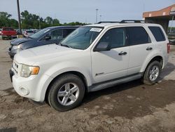 Salvage cars for sale at Fort Wayne, IN auction: 2009 Ford Escape Hybrid