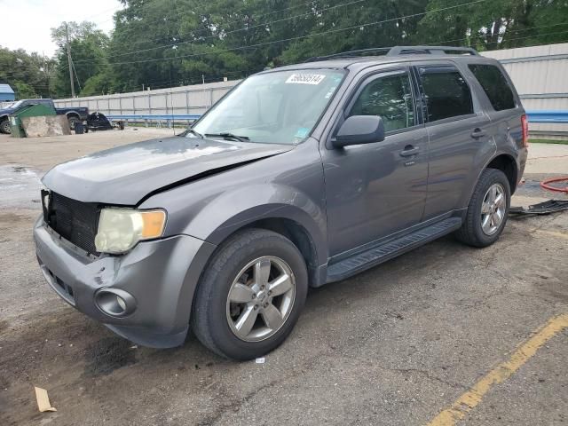 2009 Ford Escape XLT