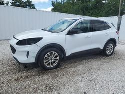 Salvage cars for sale at Baltimore, MD auction: 2022 Ford Escape SE