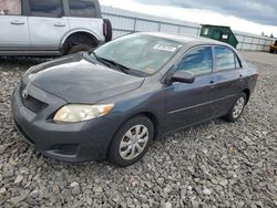 Toyota Corolla Base salvage cars for sale: 2009 Toyota Corolla Base