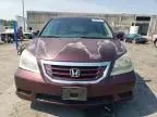 2010 Honda Odyssey EXL