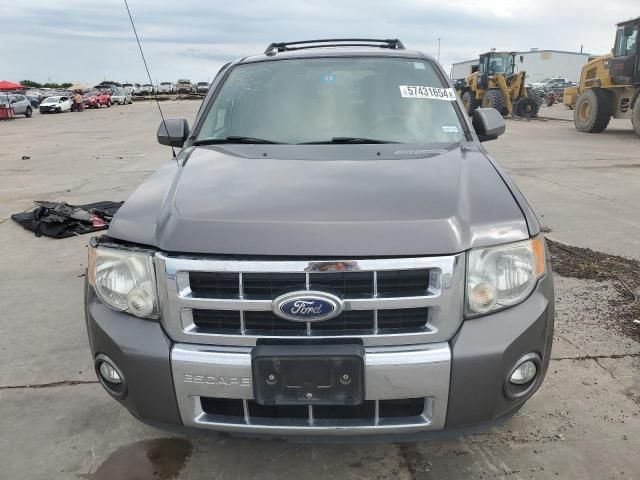 2010 Ford Escape Limited