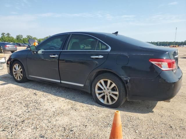 2010 Lexus ES 350