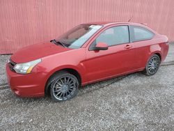 Ford Focus Vehiculos salvage en venta: 2009 Ford Focus SES