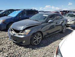 Salvage cars for sale at Reno, NV auction: 2008 Lexus IS 250