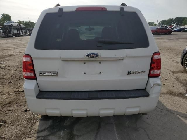 2009 Ford Escape Hybrid