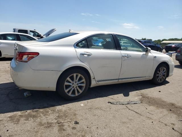 2010 Lexus ES 350