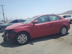Clean Title Cars for sale at auction: 2013 KIA Forte EX