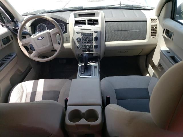 2008 Ford Escape XLT