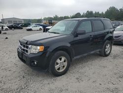 Salvage cars for sale at Memphis, TN auction: 2012 Ford Escape XLT