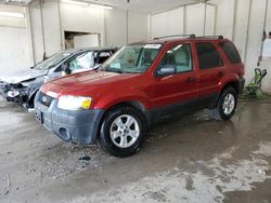 Ford Escape xlt salvage cars for sale: 2005 Ford Escape XLT