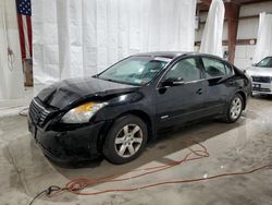 Salvage cars for sale at Leroy, NY auction: 2008 Nissan Altima Hybrid